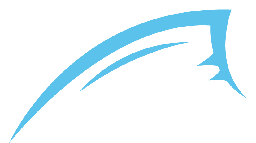 Stylized blue fish logo with curved lines and sharp edges, representing aquatic themes