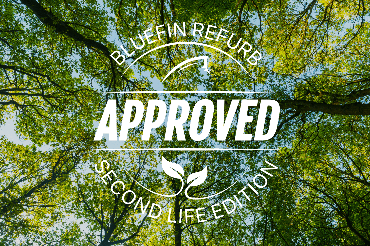 Looking up at green tree canopy with text overlay: Bluefin Refurb Approved, Second Life Edition
