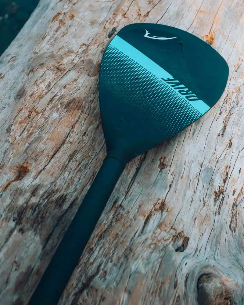 Black paddle with a blue stripe and textured surface resting on a wooden log