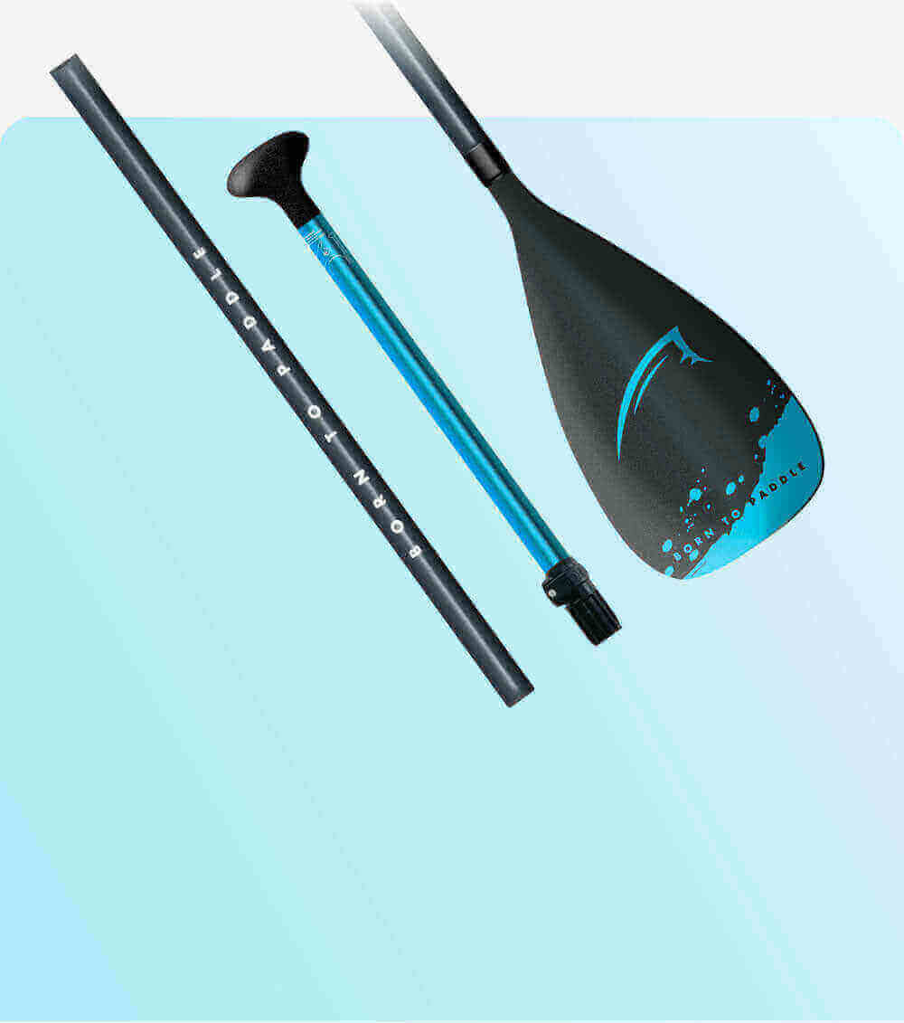 Paddle with a black blade, blue shaft, and black handle, arranged on a light blue background.