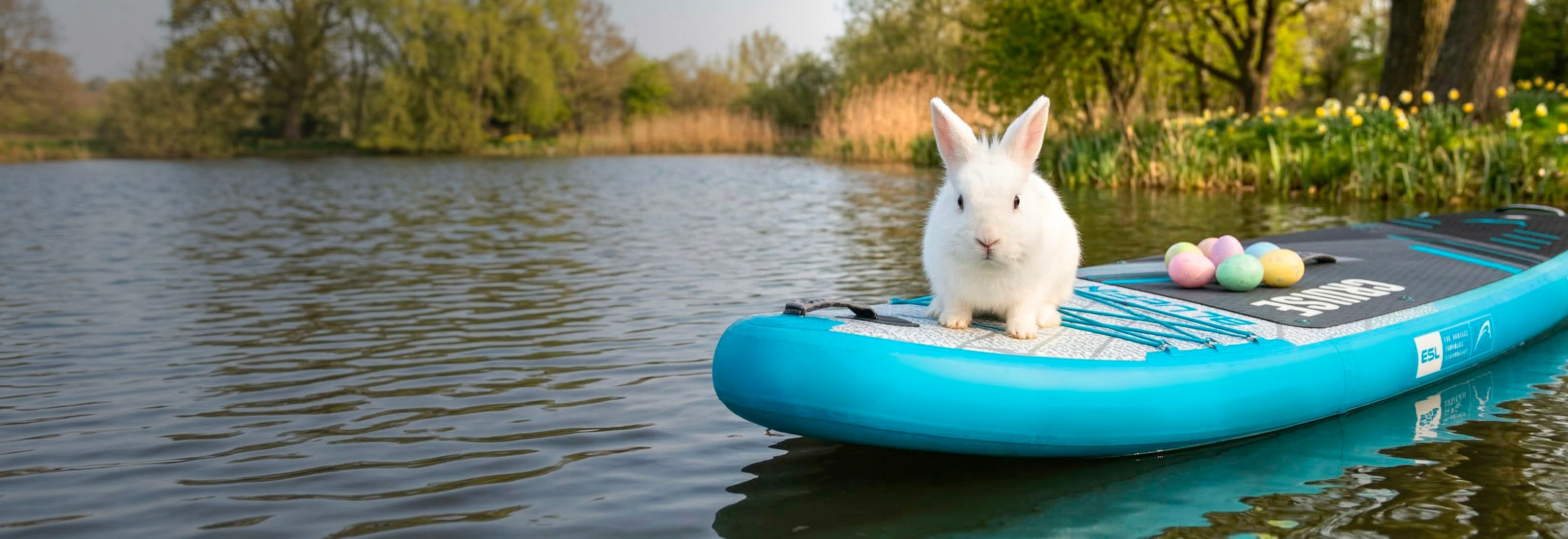 White rabbit sitting on a blue paddleboard with colorful eggs beside it on a calm lake